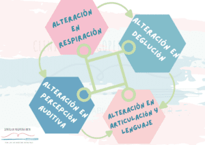 Con la terapia miofuncional en logopedia se corrigen las alteraciones en las funciones orales no verbales, que se encuentran relacionadas entre sí a través de la musculatura orofacial implicada en todas ellas.