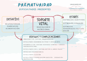 La prematuridad tiene desafíos cardíacos, respiratorios y en la alimentación. Los niños prematuros necesitan de un soporte vital respiratorio y nutricional para sobrevivir, que deja huellas en su desarrollo cognitivo. Además, el estrés neonatal influye en el aprendizaje de su cerebro para llevar a cabo las funciones vitales.